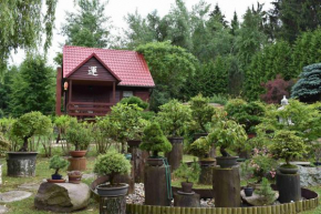 Ogród Shinrin Yoku Odpoczynek w Lesie in Leśny Rów